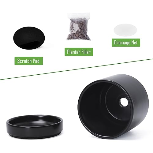 D'vine Dev 4-Pack Ceramic Pots with Saucers, Black, 3.5 in, 94-X-A-2 - color: Black, size: 3.5 Inch