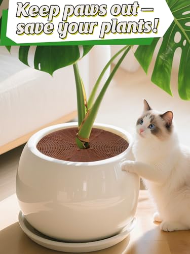 ANPHSIN 3 Plant Pot Grid Cover Protectors from Animals, 20.8" Dia - size: 20.8"