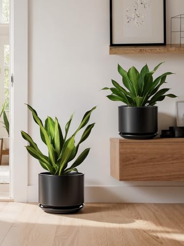 LE TAUCI 8 Inch Plant Pot, Ceramic Pots for Plants, Black - color: Black, size: 8"