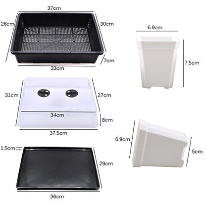 eZAKKA 14.6" x 11.8" Seed Starter Tray Kit with Dome, 20 Cells, White - color: White Pots