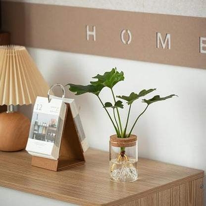 6 Pcs Plant Propagation Terrarium Glass Vase Containers