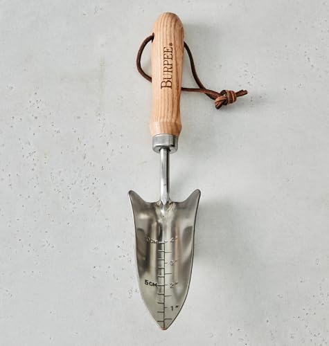 Burpee 13" Stainless Steel Transplanter | Durable Long Lasting Garden Tool | Leather Wrist Strap 5" Handle, Oak - color: Oak, style: Transplanter