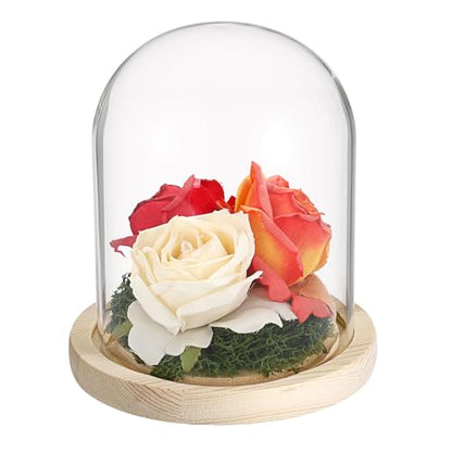 Hipiwe Glass Display Dome Cloche with Wood Base Clear Glass Display Bell Jar Decorative Flower Display Dome for Plants, Figure, Antique Collectibles, 4.5 x 6.1 Inches - size: 4.5 x 6.1 Inch