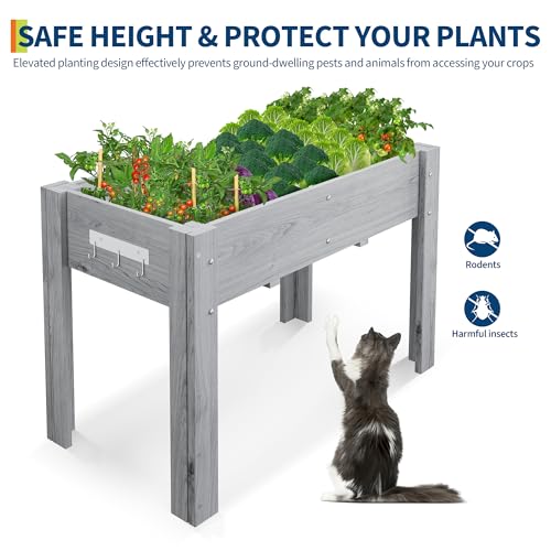Garvee 48x24x30IN Wooden Raised Garden Bed with Legs - color: Gray, size: 48*24*30 in