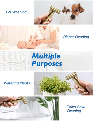 BRITULIF Bidet Sprayer for Toilet, Adjustable Pressure, Gold - color: Gold, size: 1 SET - Cold