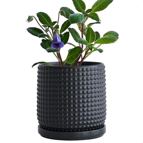 D'vine Dev Beaded Ceramic Pot with Saucer, 6 in, Ebony Matte, 27-C-X-6 - color: Ebony Matte, size: 5.8 Inch