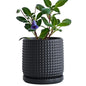 D'vine Dev Beaded Ceramic Pot with Saucer, 6 in, Ebony Matte, 27-C-X-6 - color: Ebony Matte, size: 5.8 Inch