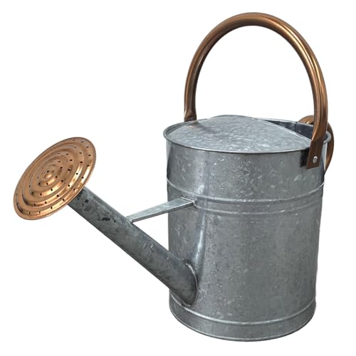 Plexon Large Metal Watering Can Outdoor 2 Gallon - Flower Plant Gardening Garden Watering Can Pot, Bronze Galvanized Steel Handles and Removable Spray Spout, Silver