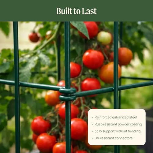 Vego 3-Panel Tomato Cage for Garden & Pots, Rust-Resistant Tomato Stakes Plant Cage Trellis Support for Climbing Vegetables Plants - 14.5" Triangle 3 Pack - size: 14.5 inch