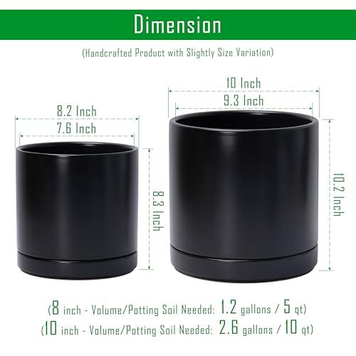 D'vine Dev 2-Pack Ceramic Pots with Saucers, 8/10 in, Black, 94-G-L-2 - color: Black, size: Large