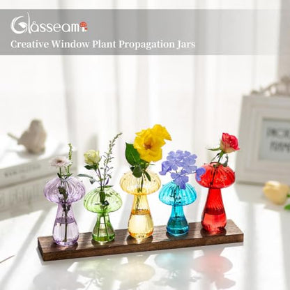 Glasseam Mushroom Propagation Station, Glass Plant Terrarium Jars with Tray