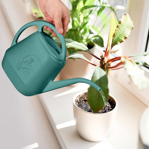 Plastic Watering Can - 1/2 Gallon - Green - color: Green