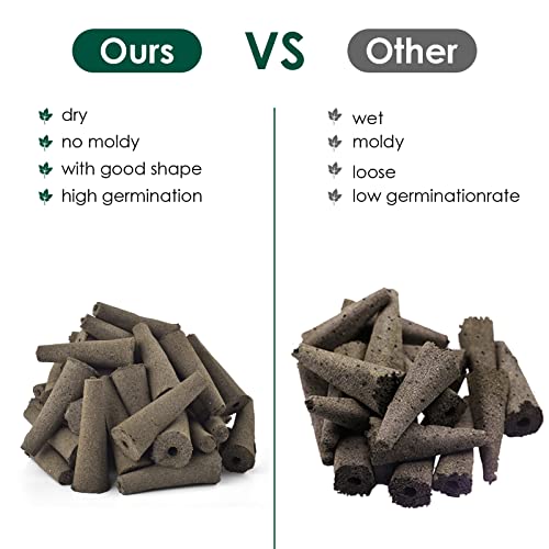 PACETAP 100 Pack Grow Sponges Compatible with AeroGarden, Replacement Refill Grow Sponge for Hydroponic Indoor Garden System - size: 100 Pack