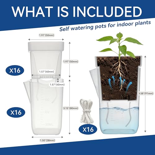 16 Pack 2" Mini Self Watering Pots Clear Deep Square Planters - size: 2"
