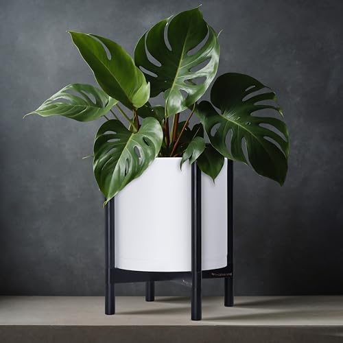 D'vine Dev Plastic Pot with Ebony Wood Stand, White, 12 in, 55-C-Q-1 - color: Matte White Pot + Ebony Stand, size: 12 Inch