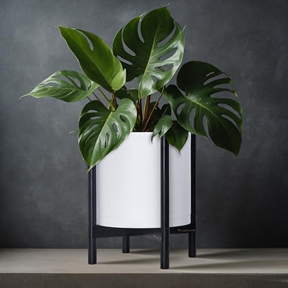 D'vine Dev Plastic Pot with Ebony Wood Stand, White, 12 in, 55-C-Q-1 - color: Matte White Pot + Ebony Stand, size: 12 Inch