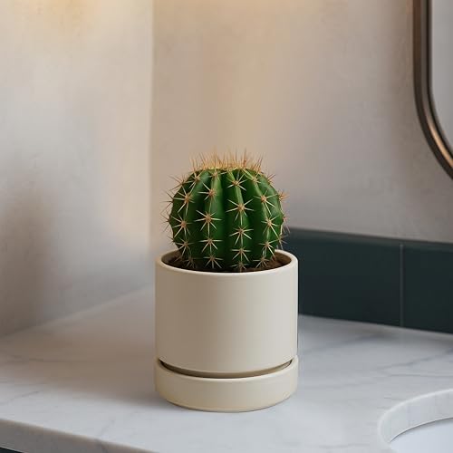 Phoenix Vine 4 Inch Planter Pot with Drainage Hole & Saucer, Deep Water Catch Tray, Straight Cylindrical Round Pot for Plants, Oatmeal, Pack of 6, 23-E-R-6 - color: Oatmeal, size: 4" (6 Pack)