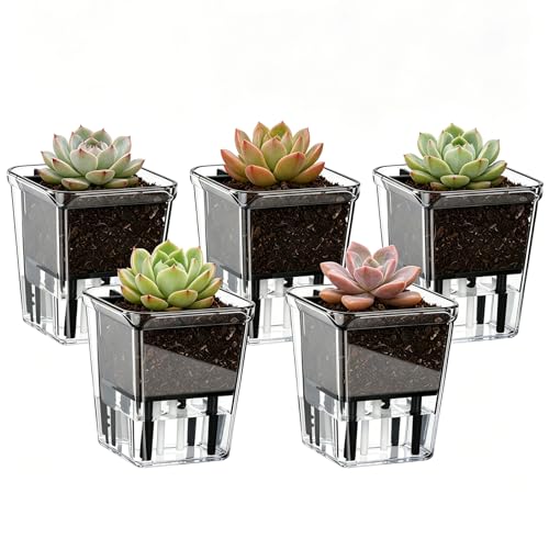 Self Watering Pots Set, Clear Self Planter Pot for Indoor Plants - size: 5Pcs Small