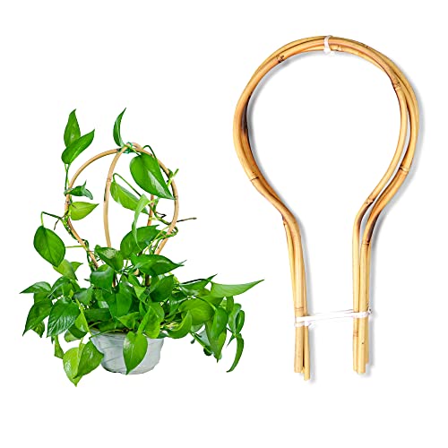 Bamboo Trellis 15 in Loop - Round Shaped for Potted Climbing Plants, Small Trellis for Training Hoya, Ivy, Monstera, Cucumber and Fruits - 3 Pack - size: Bamboo Hoop Trellis