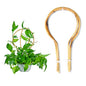 Bamboo Trellis 15 in Loop - Round Shaped for Potted Climbing Plants, Small Trellis for Training Hoya, Ivy, Monstera, Cucumber and Fruits - 3 Pack - size: Bamboo Hoop Trellis