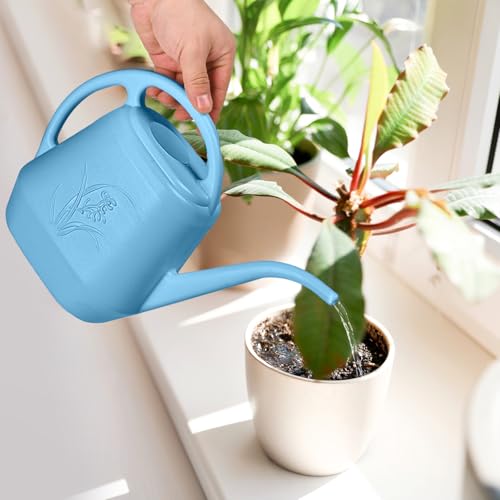 Watering Can - for Home Plant Garden - 1 Gallon Hand - Sky Blue - color: Sky Blue