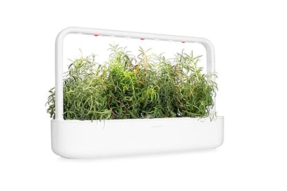 Click and Grow Smart Garden Rosemary Plant Pods, 3-Pack