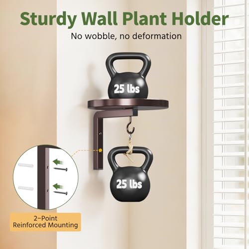 LASZOLA Plant Hanger Holder Shelf Wall Indoor with Lights, 2 Pcs Brown - color: Bronze, size: 2