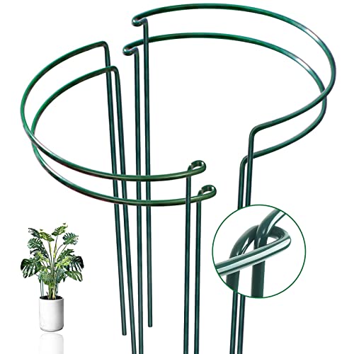 4 Pack Snake Plant Support Stakes, Peony Cages and Supports, Heavy-Duty Hoseplant Support, Hydrangea Support Cage, Aloe Plant Support Ring, Plant Support Stake for Indoor and Outdoor Potted Plants - size: 16x10in
