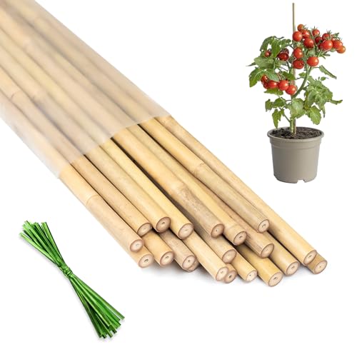 Plant Stakes 16inch, HAINANSTRY 20Pcs Natural Bamboo Sticks Garden Stakes - size: 16Inch 20Pack