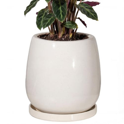 10.3 Inch Ceramic Glaze Plant Pot with Saucer, Flower Pots with Drainage Hole Mesh Net(Hemp-Gray Dot) - color: Hemp Gray Dot