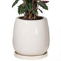10.3 Inch Ceramic Glaze Plant Pot with Saucer, Flower Pots with Drainage Hole Mesh Net(Hemp-Gray Dot) - color: Hemp Gray Dot