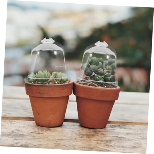 Toddmomy 10Pcs Transparent Greenhouse Dome Plant Cloche Covers - size: 7.50X7.50X7.50CM