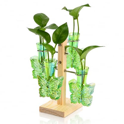 Nacome Plant Terrarium Propagation Stations: Green Vase with Wooden Stand - color: Green