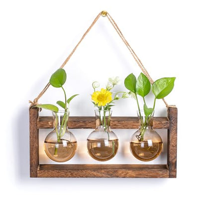 Wall Plant Propagation Station with Wooden Stand, Gradient Brown