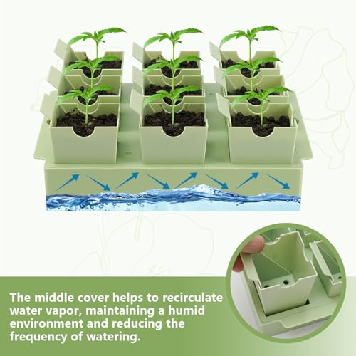 Seed Starter Tray with Lift-Out Handles for Easy Transplanting