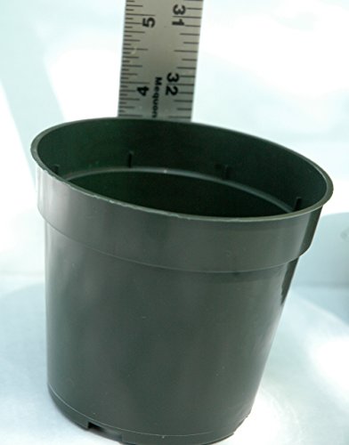 Dillen 4 Inch Standard Plastic Pots for Plants, Cutting, and Seedlings - 30 Pack