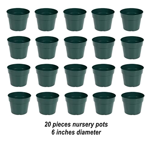 DAPERCI inches Nursery Pot Plant Grow Sturdy Flower pots in Bulk Price 20P Green