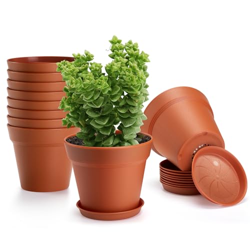 10 Pack 6 inch Plastic Plant Pots with Drainage Holes and Tray - color: Terracotta, size: 10 Pack-6in