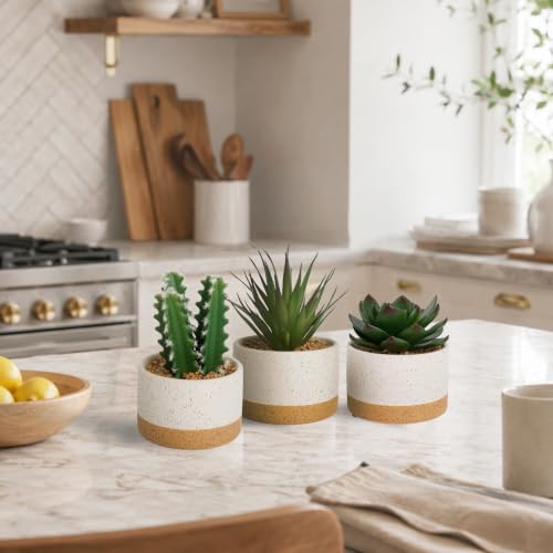Artificial Succulent Cactus Plant Set Ceramic Flower Pot Set of 3 for Home, Office, Desk, Bedroom, Living Room Decoration