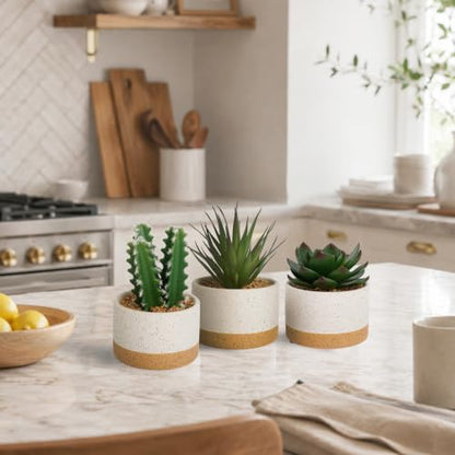 Artificial Succulent Cactus Plant Set Ceramic Flower Pot Set of 3 for Home, Office, Desk, Bedroom, Living Room Decoration