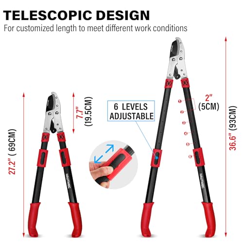 HAUTMEC Anvil Loppers for Tree Trimming Heavy Duty, Extendable 27-37'' Garden Loppers with Compound Action System, 2" Cutting Capacity,with replacement blades, HT0461 - color: Loppers & Blade
