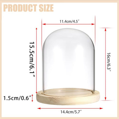 Hipiwe Glass Display Dome Cloche with Wood Base Clear Glass Display Bell Jar Decorative Flower Display Dome for Plants, Figure, Antique Collectibles, 4.5 x 6.1 Inches - size: 4.5 x 6.1 Inch