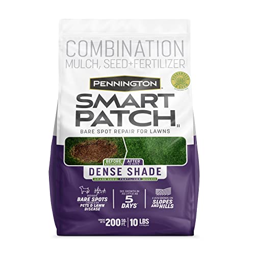Pennington Smart Patch Dense Shade Grass Seeds for Lawn, 10 lb - size: 10 LB