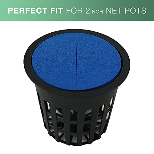 2” Neoprene Foam Inserts for Hydroponics Growing System, Clone Machine, Propagation Indoor Gardening, 100 Pack, Blue - color: Blue