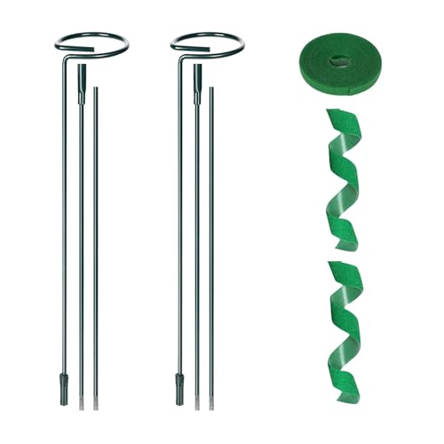2 Pack Plant Support Sticks, 3 Sizes (12 or 24 or 36 inch) Garden Plant Stake, Plant Support Rings for Indoor Outdoor with Plants Ties, Plants Stakes for Flowers, Climbing Plants, Orchid - size: 36 Inch - 2 Pack
