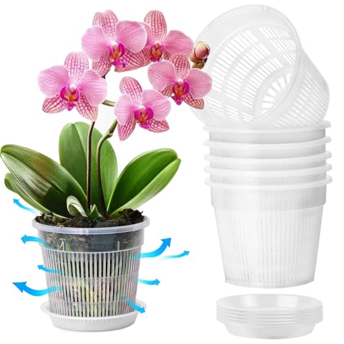 T4U Clear Orchid Pots 4.3 Inch 6 Pack, Orchid Pot with Holes Repotting - size: 4.3 Inch, 6 Pack