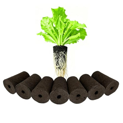 Grow Sponges 1.5" W*2.16" H, 20 Pack