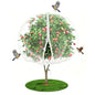 Fruit Tree Netting (Fruit Tree net a) 2-Pack 6.56ft – White - color: Fruit Tree Net,2 Pack