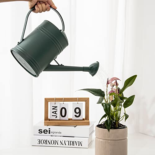 Plastic Indoor Watering Can with Sprinkler Head - 68 oz, 1/2 Gallon - color: Dark Green