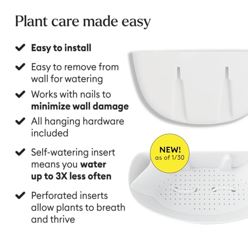 Make Good Virgo Wall Planters (Wide, Set of 6) - Easy to Water and Install - Lightweight - Design Your Own Vertical Garden - Melamine Plastic